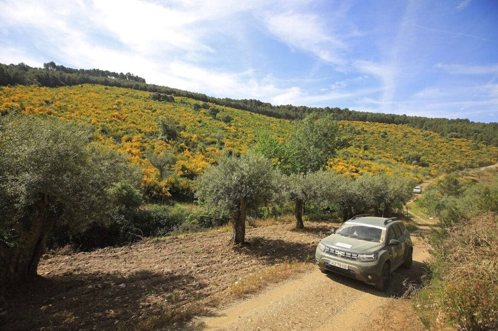 Aventura Dacia 2024 0858